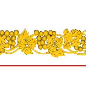CORD23