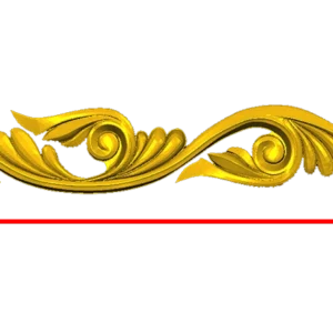 CORD244