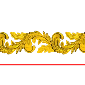 CORD256